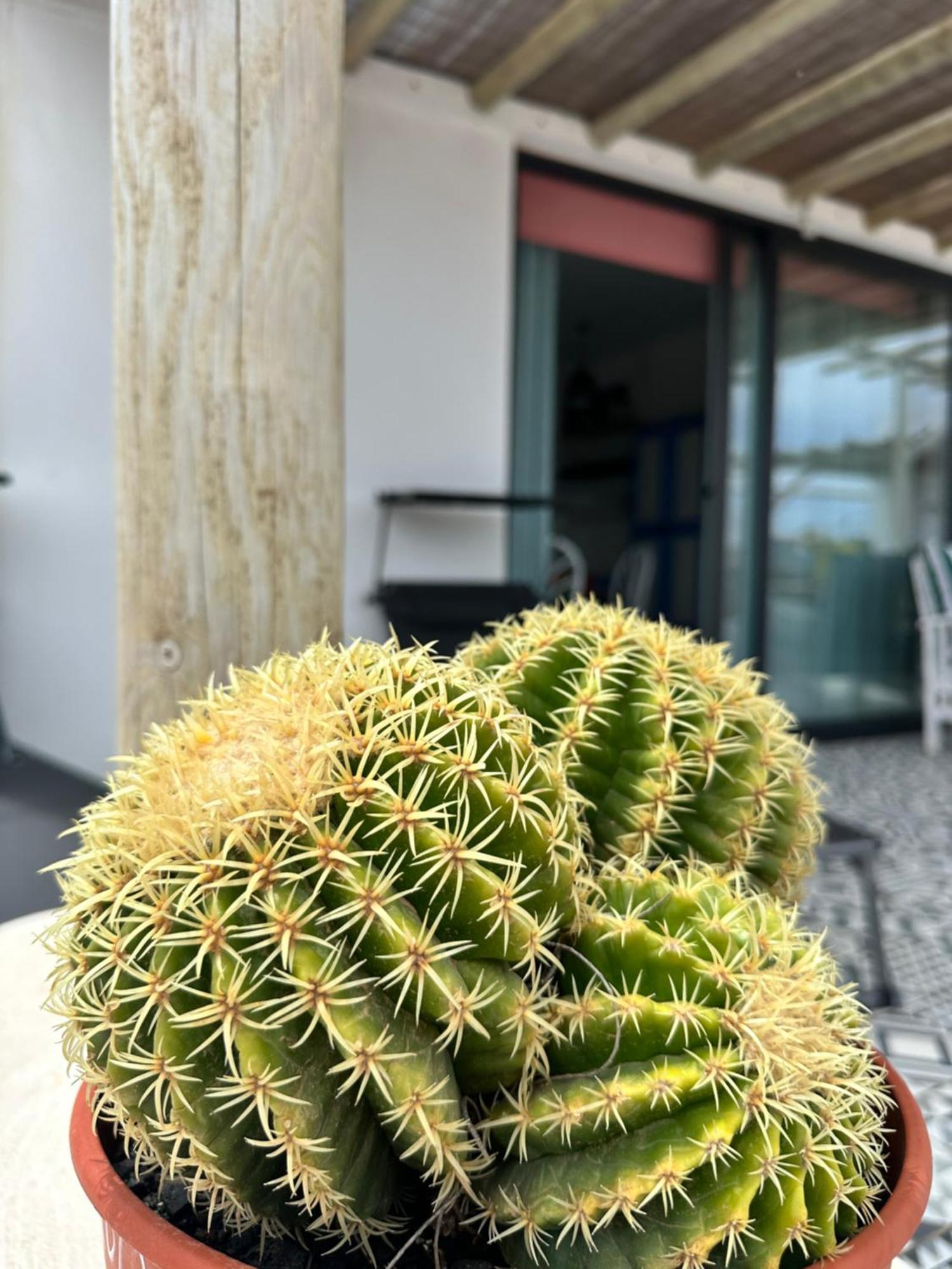 Casita Tiare Lajares公寓 外观 照片